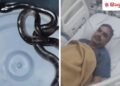 बिस्तर में छिपे सांप ने पुलिसकर्मी को दो बार डंसा, AI की मदद से समय पर मिला इलाज, Madhya-pradesh Hindi News