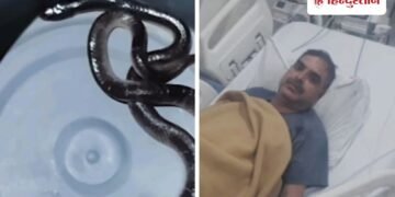 बिस्तर में छिपे सांप ने पुलिसकर्मी को दो बार डंसा, AI की मदद से समय पर मिला इलाज, Madhya-pradesh Hindi News