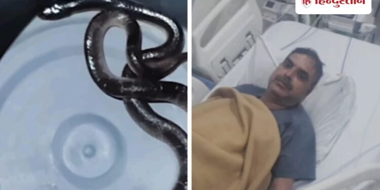 बिस्तर में छिपे सांप ने पुलिसकर्मी को दो बार डंसा, AI की मदद से समय पर मिला इलाज, Madhya-pradesh Hindi News