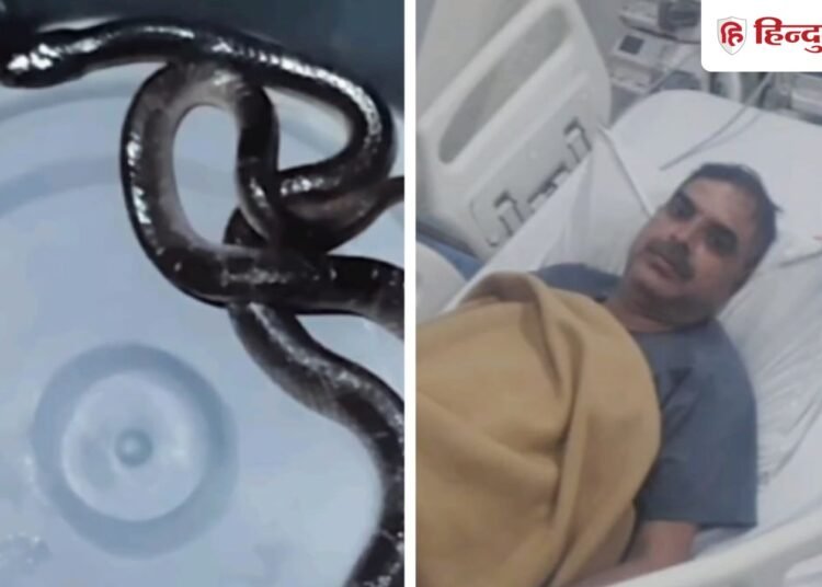 बिस्तर में छिपे सांप ने पुलिसकर्मी को दो बार डंसा, AI की मदद से समय पर मिला इलाज, Madhya-pradesh Hindi News