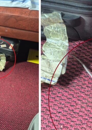 ट्रेन के फर्स्ट AC कोच में रिटायर्ड अधिकारी की नाक चूहे ने कुतरी, अस्पताल में भर्ती; चंडीगढ़ से आ रहे थे इंदौर, Madhya-pradesh Hindi News