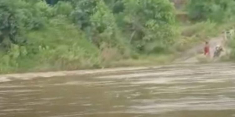उमरिया में भारी बारिश से उफनी उमड़ार नदी, कर्चुलिया पुल पर पानी आने से यातायात बंद, मध्य प्रदेश वीडियो न्यूज