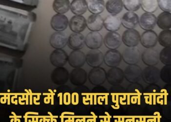 MP:मंदसौर के भानपुरा बरखेड़ी में नींव से 700 चांदी के सिक्के, 1904 और किंग जॉर्ज की छाप, बंटवारे पर विवाद, पुलिस जांच, मध्य प्रदेश वीडियो न्यूज