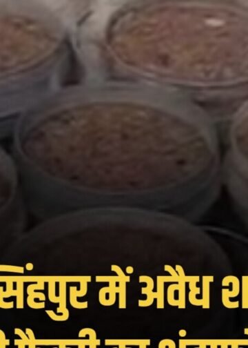 MP: नरसिंहपुर में सुबह 4 बजे पुलिस का छापा, अवैध शराब फैक्ट्री का भंडाफोड़, बड़ी मात्रा में लहान और शराब बरामद, मध्य प्रदेश वीडियो न्यूज