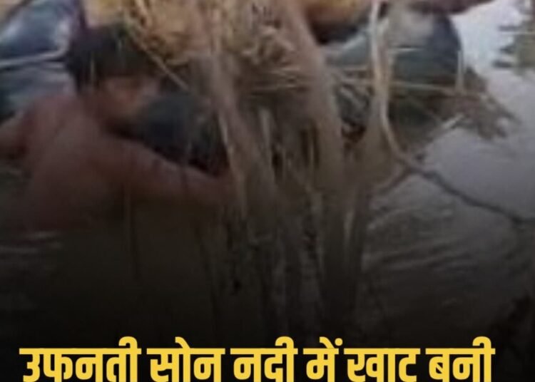 मुरैना: कैलारस के मकूंदा में सोन नदी का रपटा डूबा, घायल महिला को खाट-ट्यूब के सहारे उफनती नदी पार कर अस्पताल पहुंचाया, मध्य प्रदेश वीडियो न्यूज