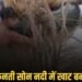 मुरैना: कैलारस के मकूंदा में सोन नदी का रपटा डूबा, घायल महिला को खाट-ट्यूब के सहारे उफनती नदी पार कर अस्पताल पहुंचाया, मध्य प्रदेश वीडियो न्यूज