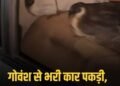 MP:बैतूल के घोड़ाडोंगरी में गोवंश तस्करी, 5 गायों से भरी कार पकड़ी, 30 KM पीछा कर रेलवे गेट पर पकड़ा, 2 फरार, मध्य प्रदेश वीडियो न्यूज