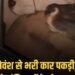 MP:बैतूल के घोड़ाडोंगरी में गोवंश तस्करी, 5 गायों से भरी कार पकड़ी, 30 KM पीछा कर रेलवे गेट पर पकड़ा, 2 फरार, मध्य प्रदेश वीडियो न्यूज
