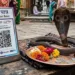 सांप का डर, QR कोड और वसूली का खेल; इंदौर में ठग ने दरगाह का ‘बाबा’ बन महिला को ऐसे बनाया शिकार, Madhya-pradesh Hindi News