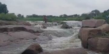 धूमेश्वर धाम में दर्दनाक हादसा, तौलियों की रस्सी 38 सेकंड पकड़े रहा मुकेश; सिंध नदी में डूबकर मौत, मध्य प्रदेश वीडियो न्यूज