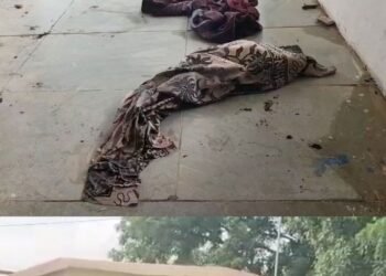 मंदसौर बिजली ग्रिड में महिला ने खुद पर पेट्रोल डालकर लगाई आग, 80% से ज्यादा झुलसी, मध्य प्रदेश वीडियो न्यूज