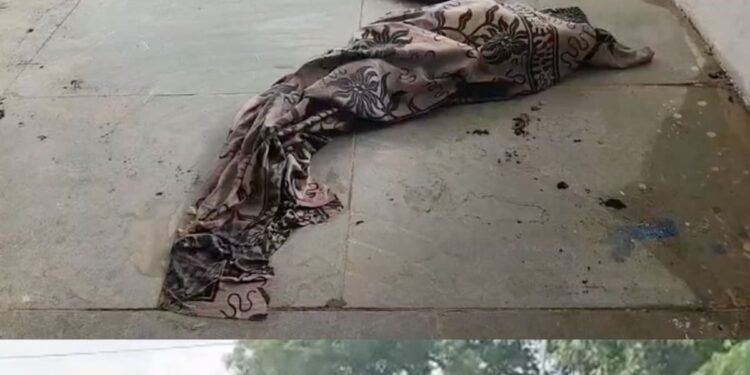 मंदसौर बिजली ग्रिड में महिला ने खुद पर पेट्रोल डालकर लगाई आग, 80% से ज्यादा झुलसी, मध्य प्रदेश वीडियो न्यूज