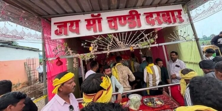 बैतूल के चिचोली में मां चंडी मंदिर विवाद बढ़ा, आदिवासी समाज ने प्रदर्शन कर बलि देकर जताया विरोध, मध्य प्रदेश वीडियो न्यूज