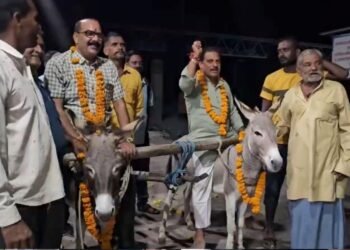 मंदसौर में बारिश के लिए अनोखा जतन, श्मशान घाट में गधों से कराई नमक-उड़द की बुवाई, मध्य प्रदेश वीडियो न्यूज