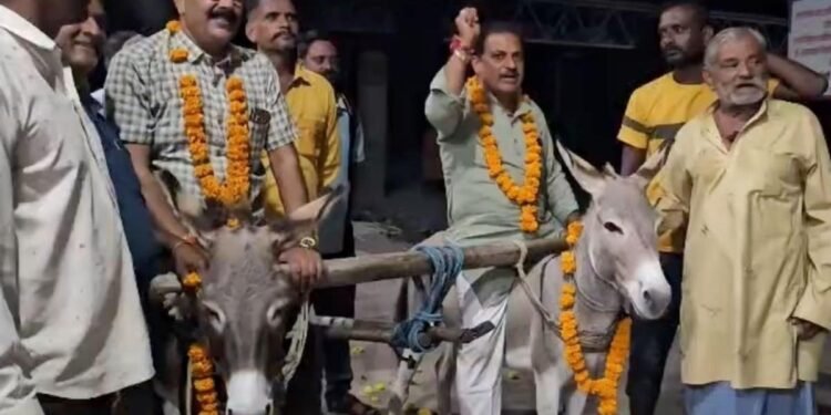 मंदसौर में बारिश के लिए अनोखा जतन, श्मशान घाट में गधों से कराई नमक-उड़द की बुवाई, मध्य प्रदेश वीडियो न्यूज