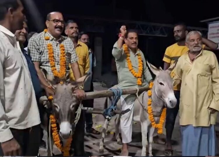 मंदसौर में बारिश के लिए अनोखा जतन, श्मशान घाट में गधों से कराई नमक-उड़द की बुवाई, मध्य प्रदेश वीडियो न्यूज