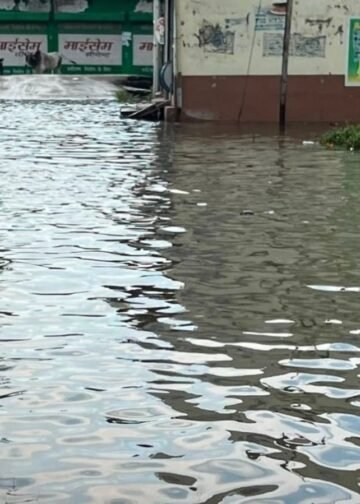 मुरैना के पोरसा में बारिश से गली बनी नदी, जलभराव से परेशान लोगों ने मांगी नाव, मध्य प्रदेश वीडियो न्यूज