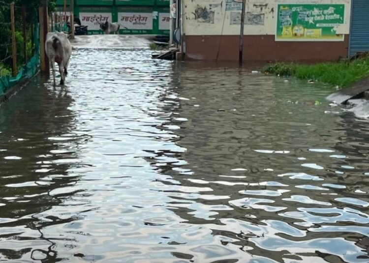 मुरैना के पोरसा में बारिश से गली बनी नदी, जलभराव से परेशान लोगों ने मांगी नाव, मध्य प्रदेश वीडियो न्यूज
