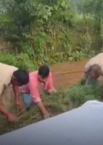 सिंगरौली के चितरंगी में गांजे के 8 हरे पौधे जब्त, 60 वर्षीय आरोपी रघुनाथ सिंह गिरफ्तार, मध्य प्रदेश वीडियो न्यूज