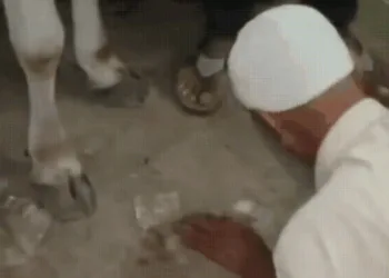 गाय को पैर मारने वाले बुजुर्ग मुस्लिम पर भड़की भीड़, नाक रगड़कर माफी मंगवाई; VIDEO वायरल, Madhya-pradesh Hindi News
