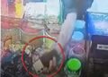 गोपालगंज में दुकानदार के सोते ही मोबाइल चोरी, CCTV कैमरे में कैद हुआ युवक, बिहार वीडियो न्यूज