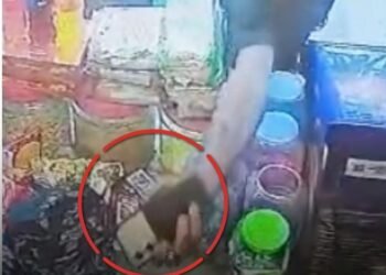 गोपालगंज में दुकानदार के सोते ही मोबाइल चोरी, CCTV कैमरे में कैद हुआ युवक, बिहार वीडियो न्यूज