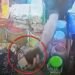 गोपालगंज में दुकानदार के सोते ही मोबाइल चोरी, CCTV कैमरे में कैद हुआ युवक, बिहार वीडियो न्यूज