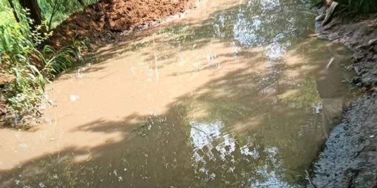 मुरैना के कसमड़ा में बारिश से जलभराव, 200 मीटर नाले के अभाव में रास्ता तालाब में तब्दील, मध्य प्रदेश वीडियो न्यूज