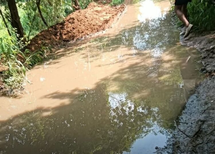 मुरैना के कसमड़ा में बारिश से जलभराव, 200 मीटर नाले के अभाव में रास्ता तालाब में तब्दील, मध्य प्रदेश वीडियो न्यूज