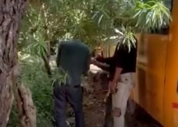 शिवपुरी के लुधावली में वायरल वीडियो से स्मैक बिक्री का दावा, पुलिस जांच और कार्रवाई की मांग, मध्य प्रदेश वीडियो न्यूज