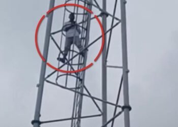 सिंगरौली में पत्नी के लापता होने से परेशान युवक मोबाइल टावर पर चढ़ा, आश्वासन के बाद सुरक्षित उतरा, मध्य प्रदेश वीडियो न्यूज