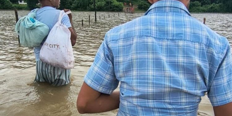 सिंगरौली में उफनती सोन नदी के बीच स्कूल जाने को मजबूर मासूम, जान जोखिम में डालकर पार कर रहे पुलिया, मध्य प्रदेश वीडियो न्यूज